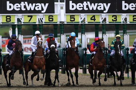 chelmsford horse racing results today|Today's Chelmsford City Racecards .
